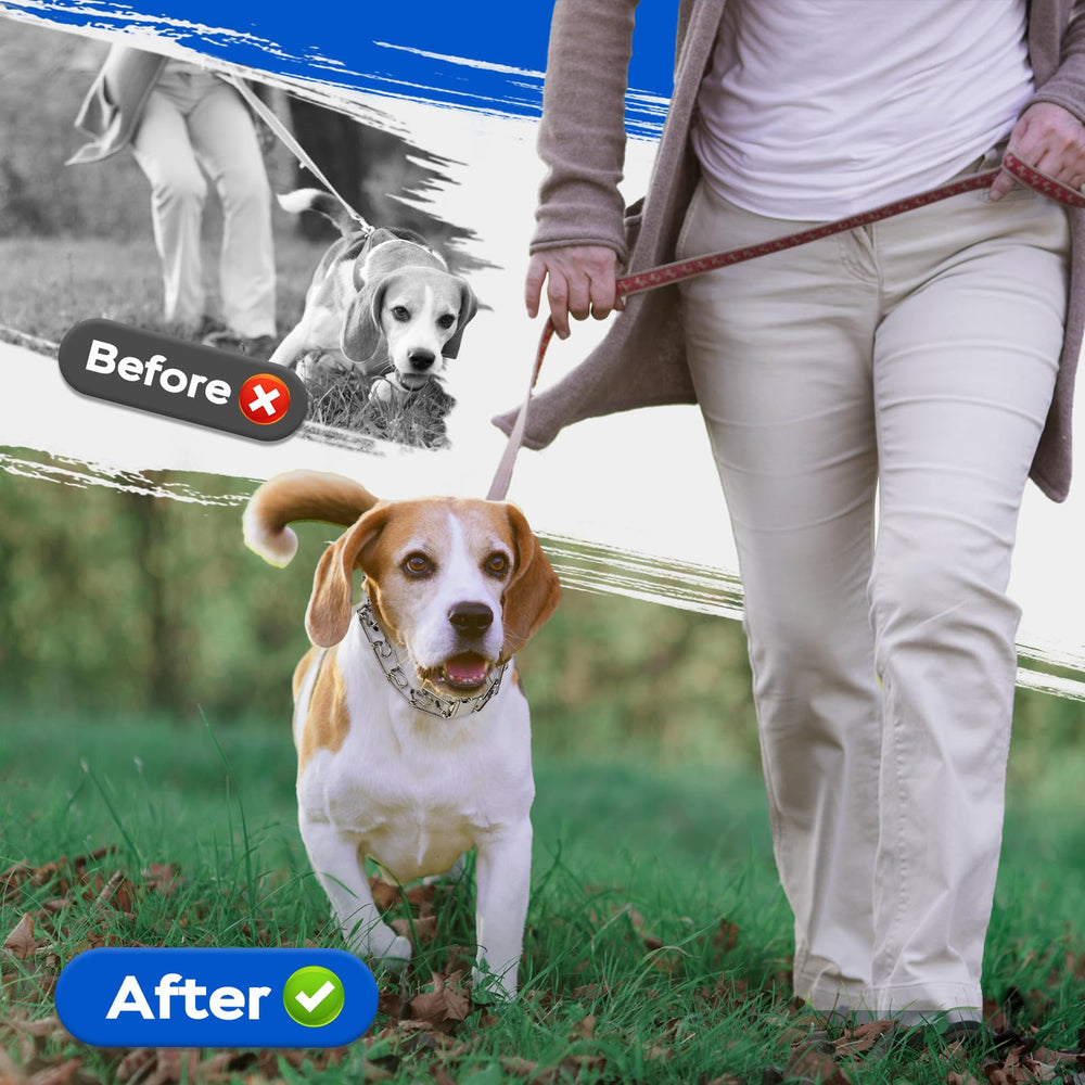 Easily cleaning Toptakeit collar with damp cloth for hygiene after walks.