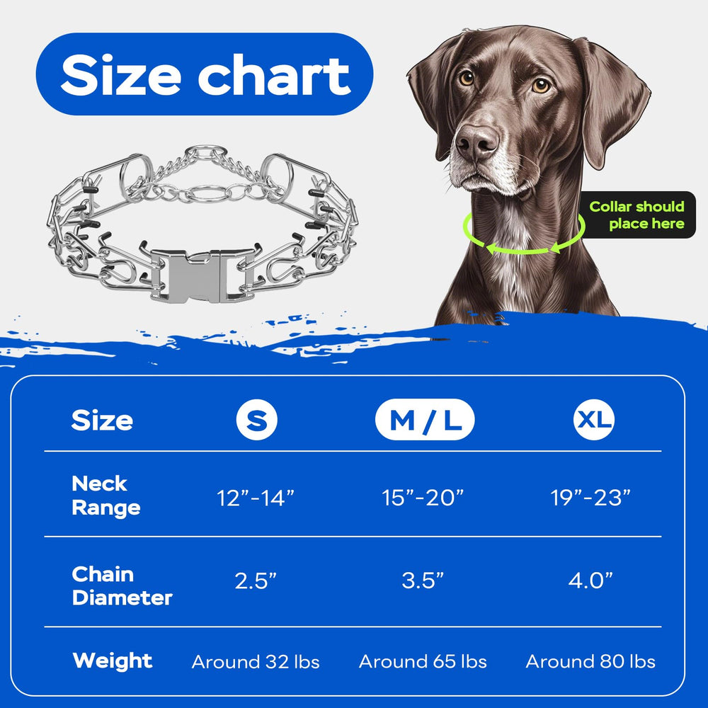 Toptakeit pinch prong collar on dog during outdoor walk—gentle behavior guidance.