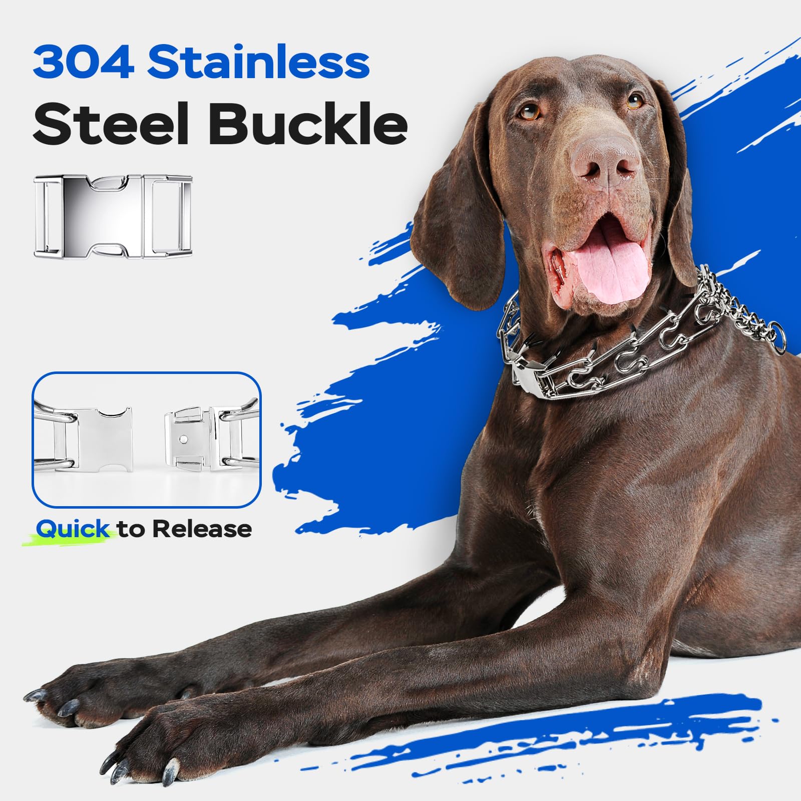 Toptakeit pinch prong collar for small dog with adjustable fit for growing pup.