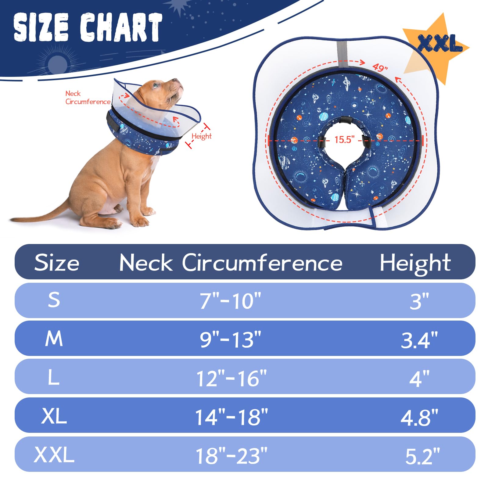 Toptakeit secure attachment dog cone fit illustrating stable wear when attached to a regular collar