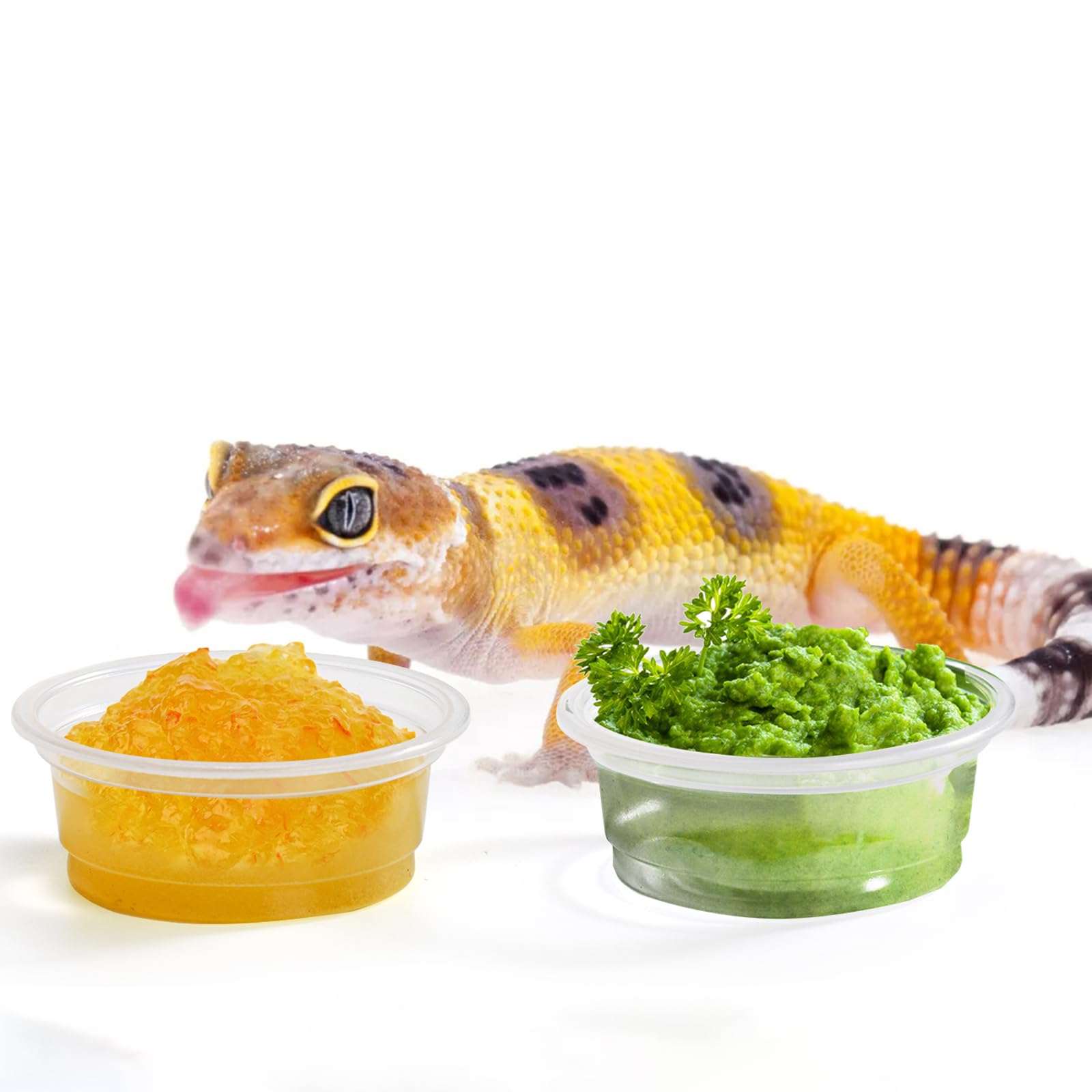 TOPZEA gecko cups transparent plastic shows contents clearly