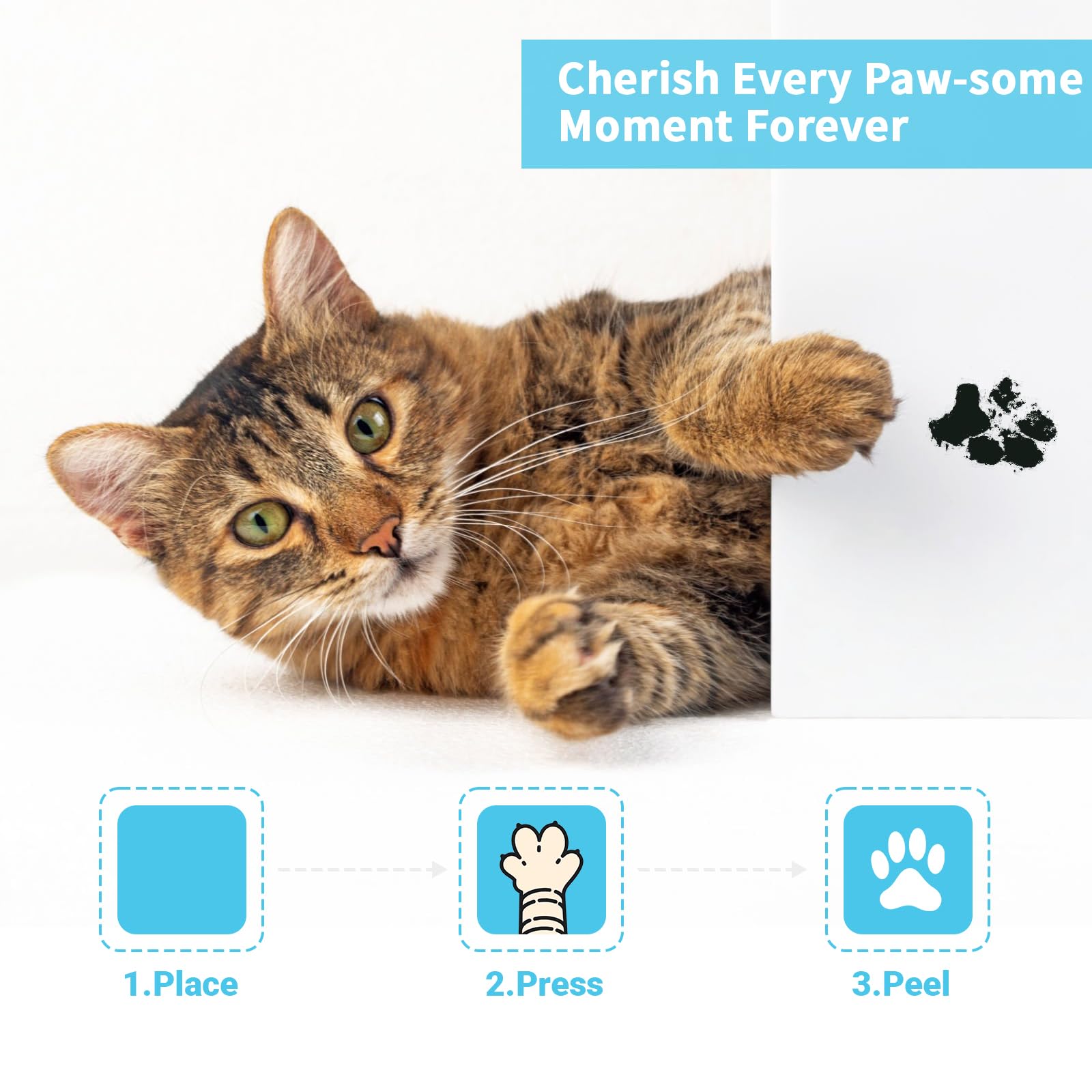 TORJOY clean-touch ink pad demonstrates safe, mess-free paw prints