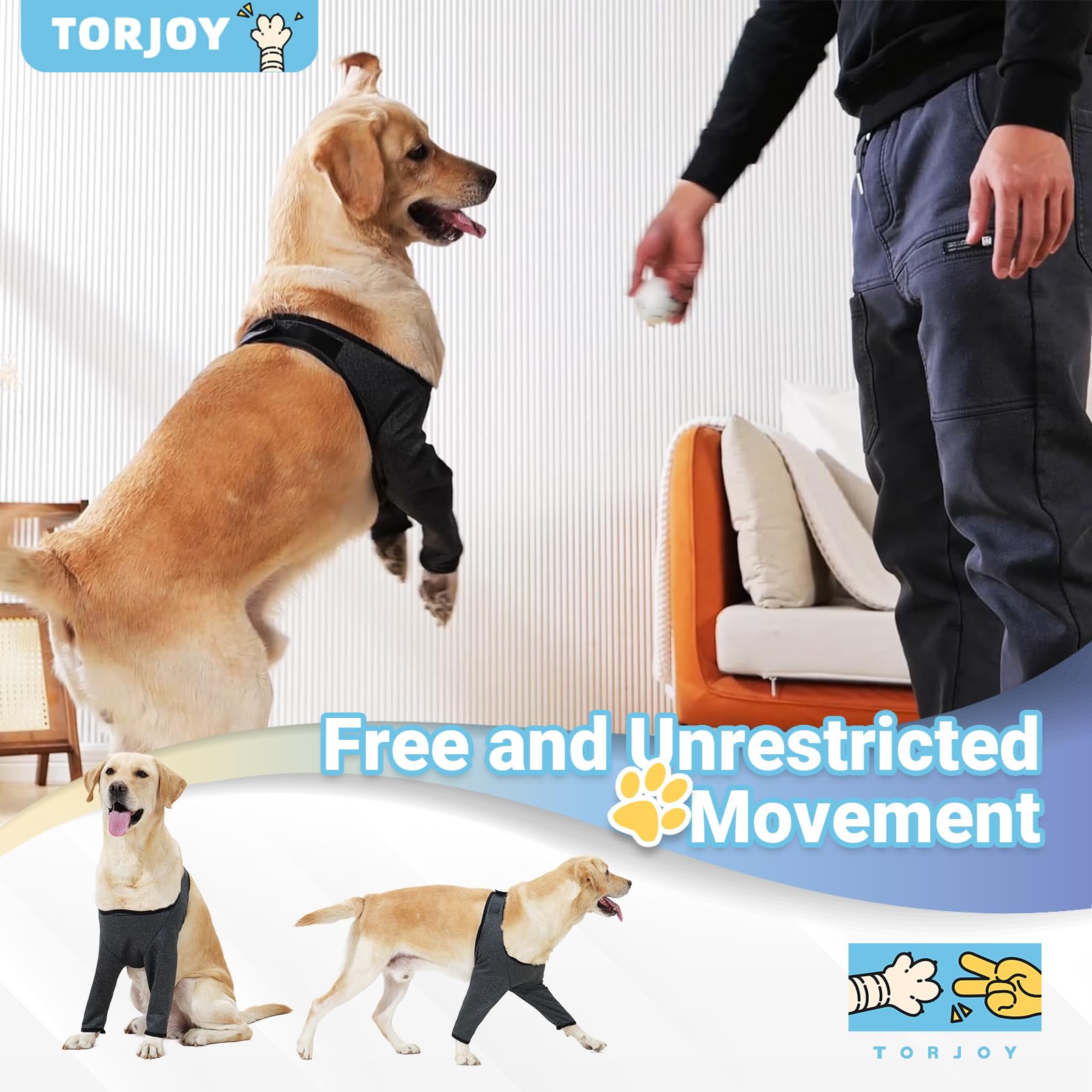 TORJOY front-leg sleeve offers easy, stress-free protection for home and walks.
