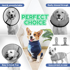 TORJOY dog surgery suit with male/female opening enabling easy post-op toileting.