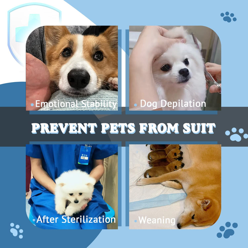 TORJOY flexible-fit sizes from small to large dogs for versatile recovery wear.
