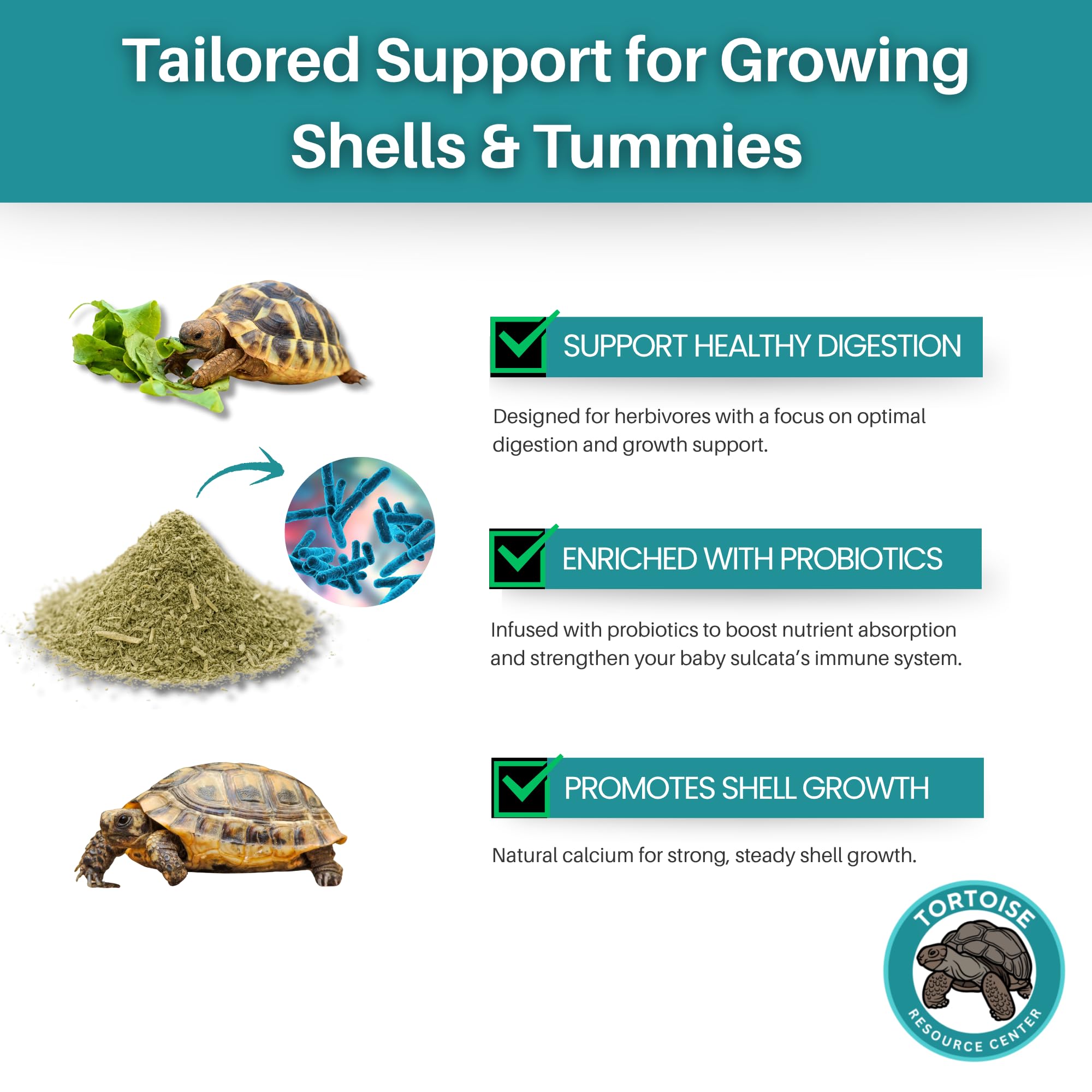 Tortoise Resource Center baby sulcata powder mixing bowl demonstrates easy preparation.