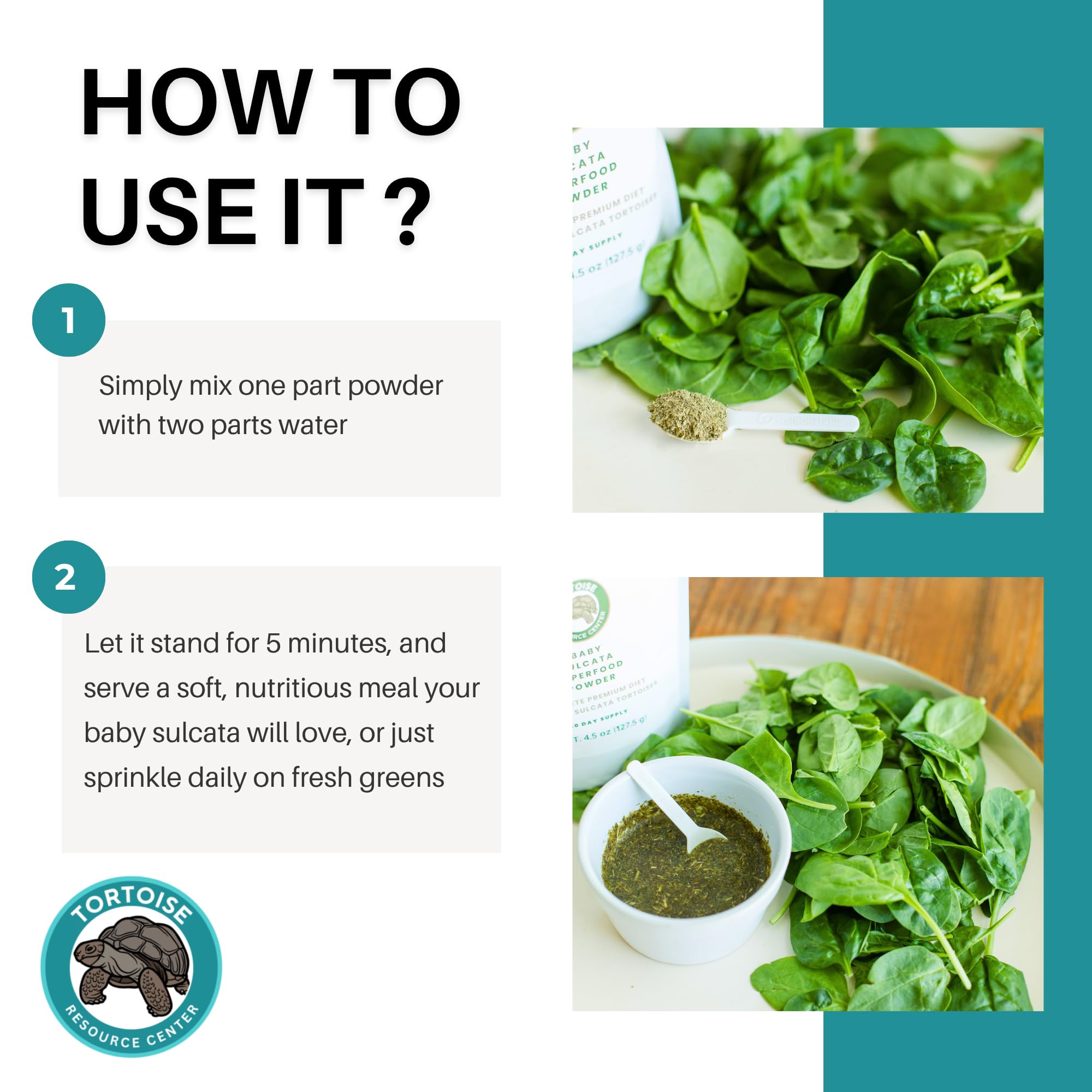 Tortoise Resource Center calcium and minerals feature for shell growth and strength.