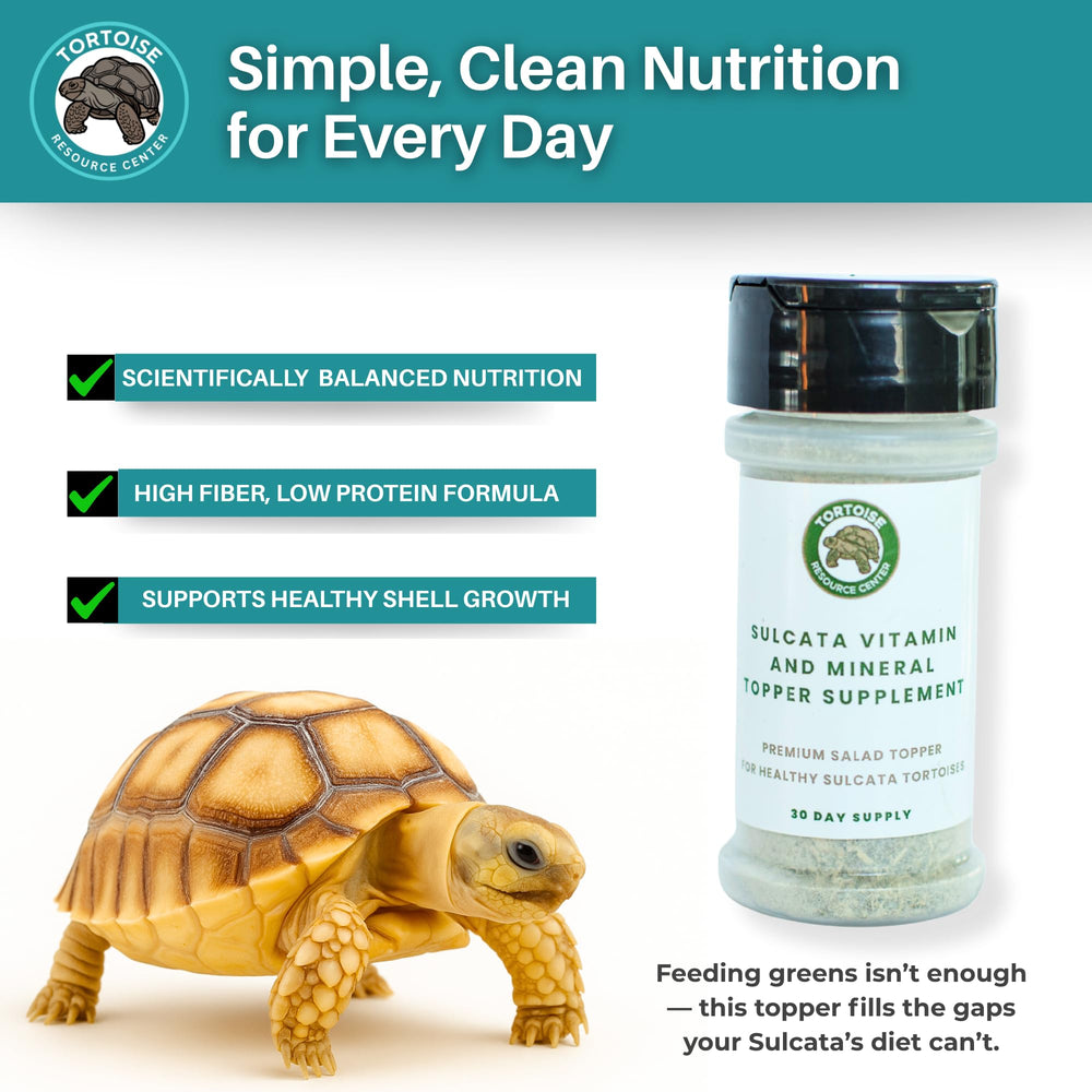 Bonus nutrition guide supports informed care decisions for sulcatas.