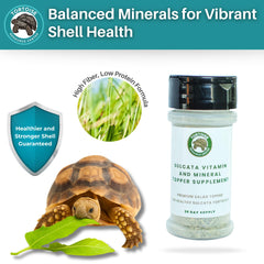 Tortoise Resource Center vitamin-mineral mix supports balanced nutrition.