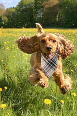 Tosygnb plaid dog bandana is machine washable and easy-care.