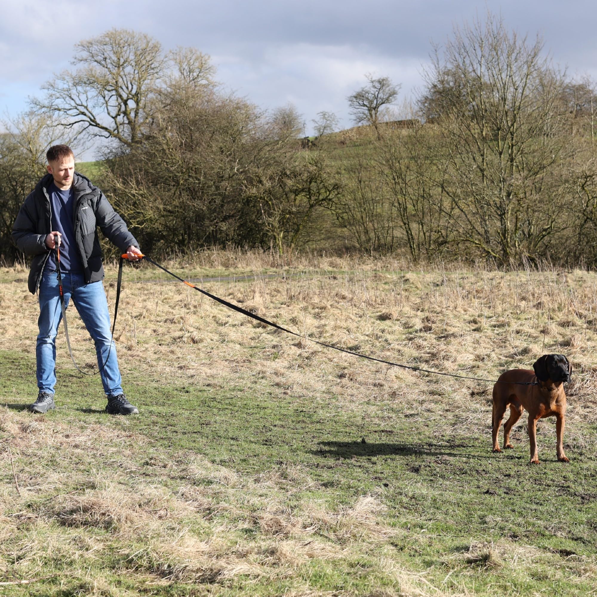 Total Pet dog recall practice in open field for safer, controlled exploration.