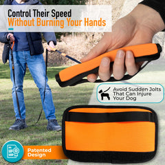 Total Pet heavy-duty nylon leash close-up shows 1-inch width durability.
