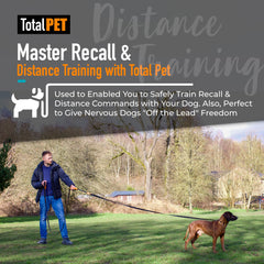 Total Pet longline in park demonstrates recall-at-distance training for all sizes.