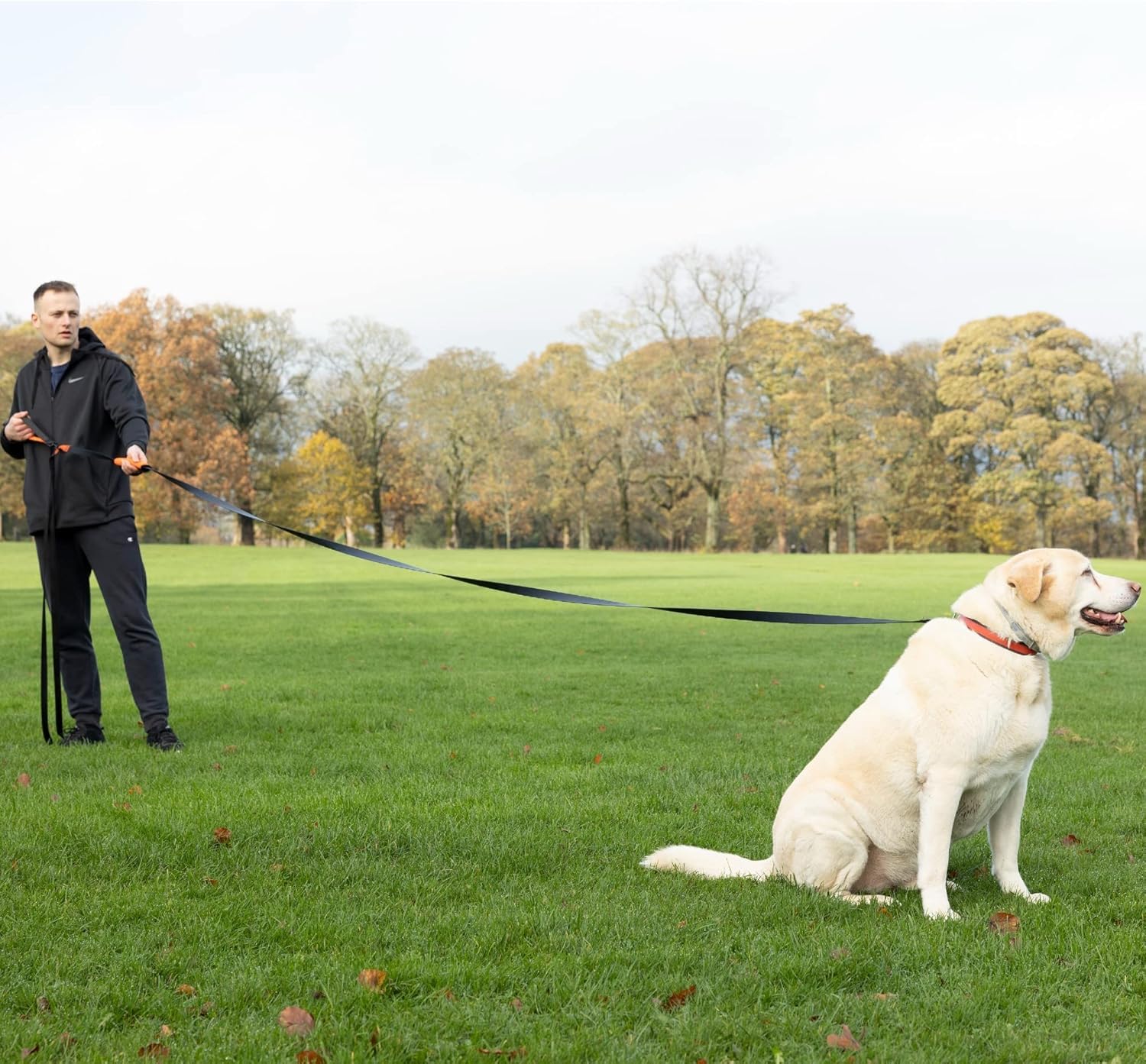Total Pet 50ft leash with control handle supports progressive training and distance play.