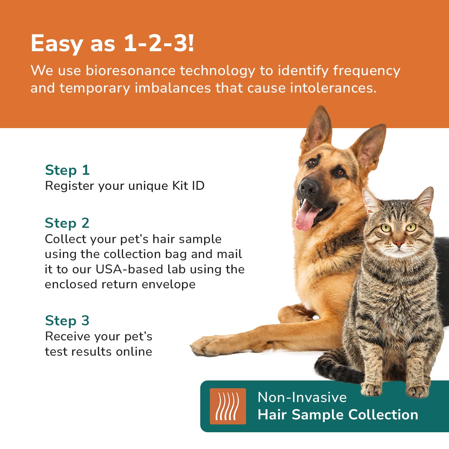 TotalVet online results dashboard displays a personalized allergy report for actionable care decisions.
