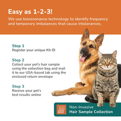 TotalVet online results dashboard displays a personalized allergy report for actionable care decisions.