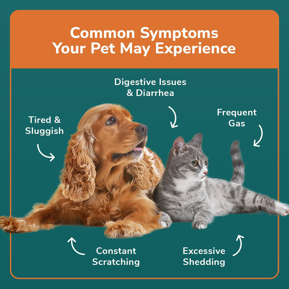 TotalVet prepaid return envelope enables simple mail-in sample submission.