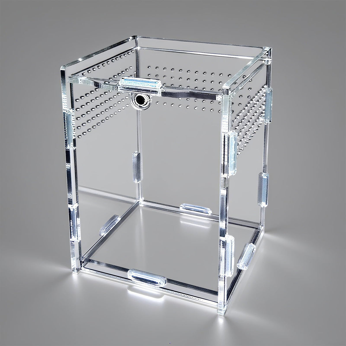 TOTZLIAN mini-habitat front view shows crystal-clear acrylic for easy observation.