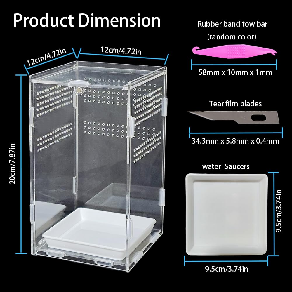 Totzlian acrylic spider enclosure with magnetic door enables easy access.