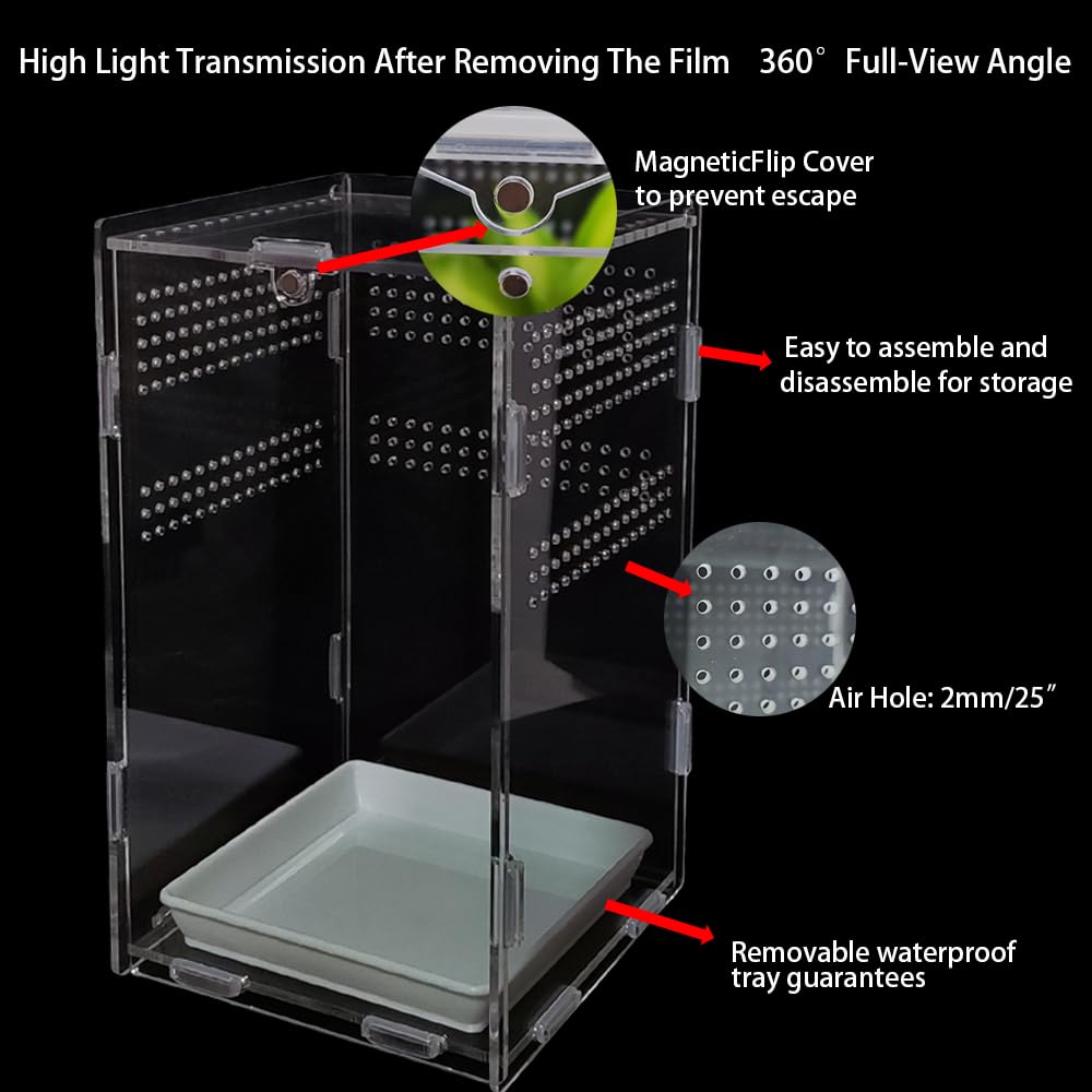 Totzlian arboreal tarantula enclosure interior view for secure climbing pets.