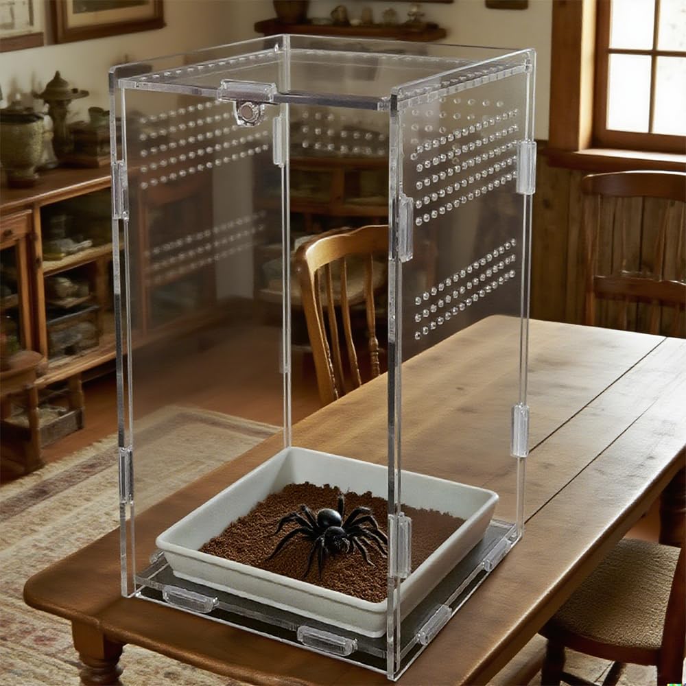 Totzlian spider enclosure with waterproof tray aids clean feeding and moisture control.