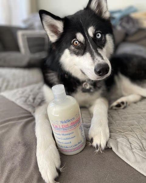 Touch of Mink Minksheen on dog coat yields natural shine