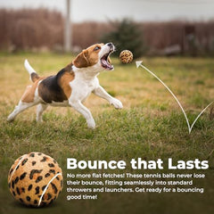 Tourna squeaker ball with lively animal print adds style and motivation