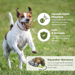 Tourna animal-print ball bounces reliably for fetch and training sessions