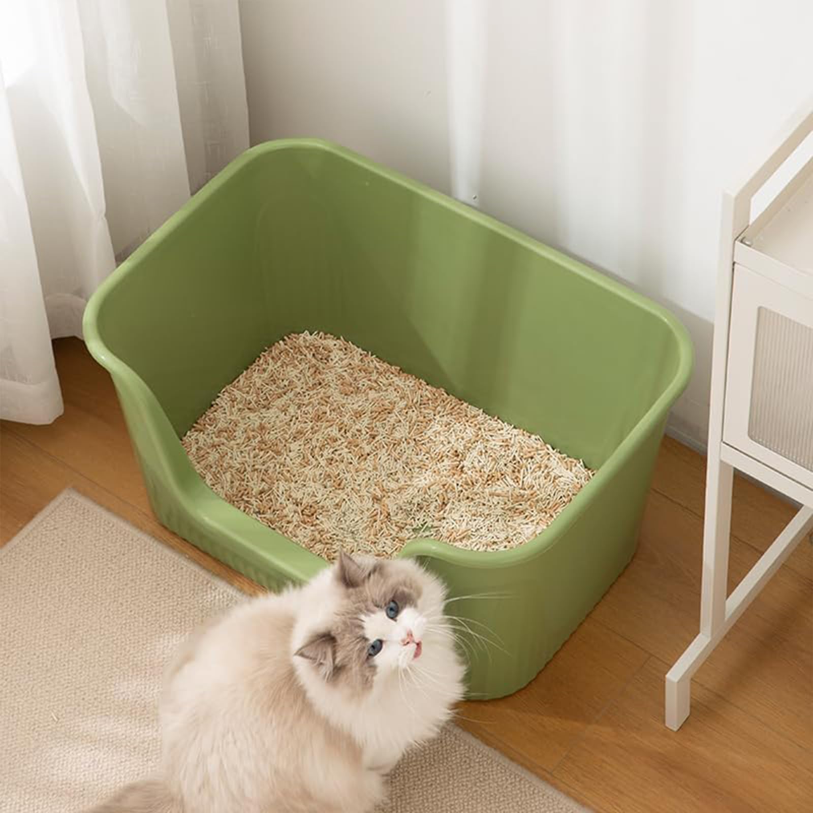 TownTime green jumbo litter box offers ample room for larger cats.