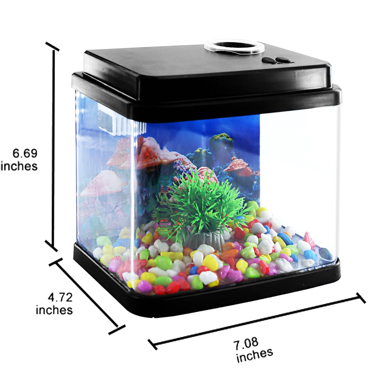 Toycol Mini Fish Tank side view highlights space-saving design ideal for small living areas.