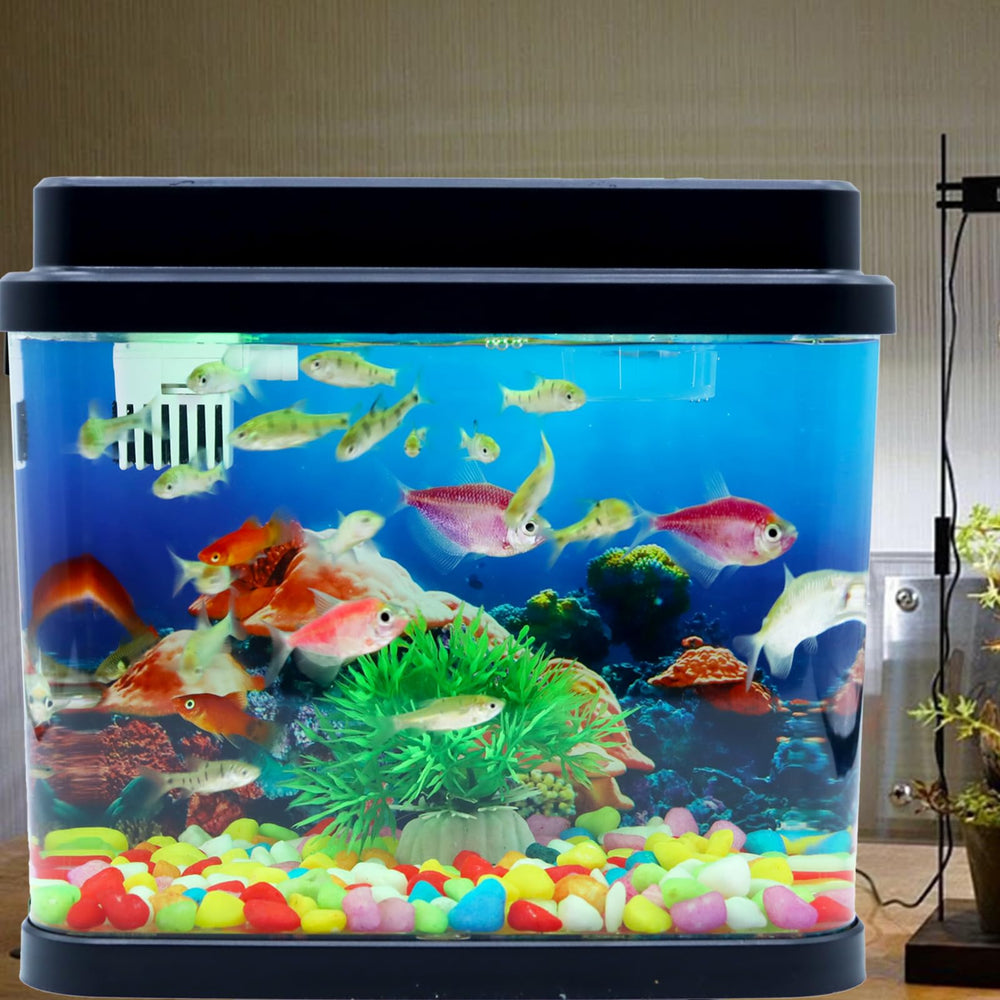 Toycol Mini Fish Tank compact-desk-setup confirms lightweight space-saving desktop aquarium.