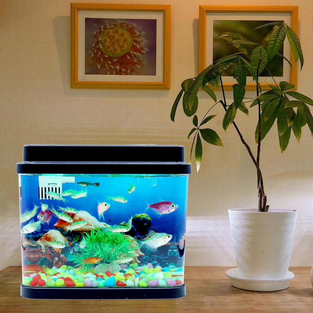Toycol Mini Fish Tank decor-stones showcases colorful stones to enrich the display.