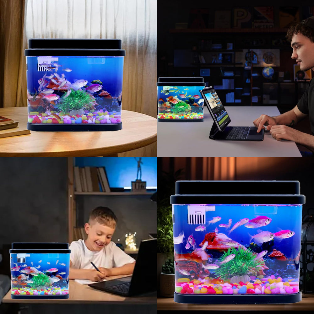 Toycol Mini Fish Tank full-set highlights built-in filtration and oxygenation features.