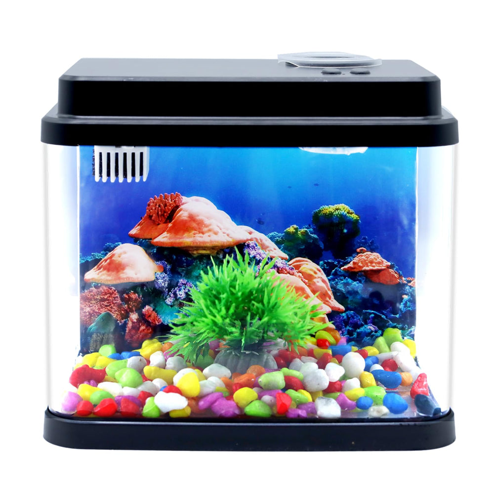 Toycol Mini Fish Tank hood-led-light emphasizes vivid color and decorative lighting.