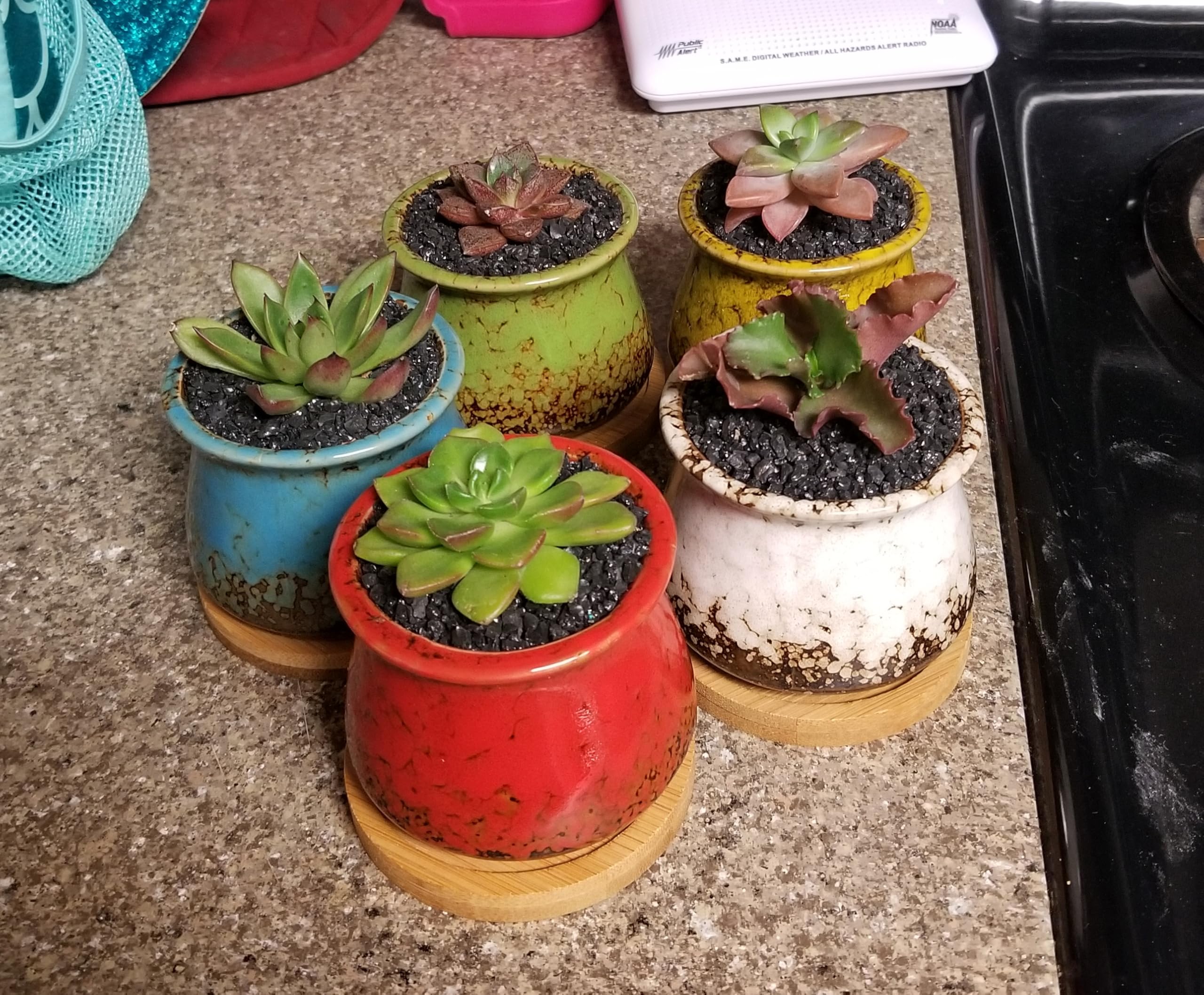 TOYPOPOR 2-2lb vase filler pebbles for arrangements