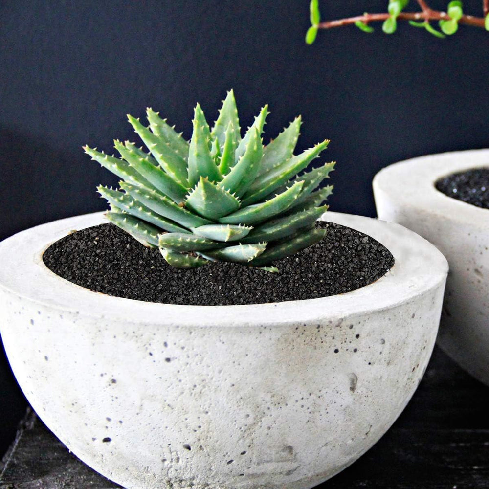 TOYPOPOR decorative pebbles for dried flower arrangements and home decor