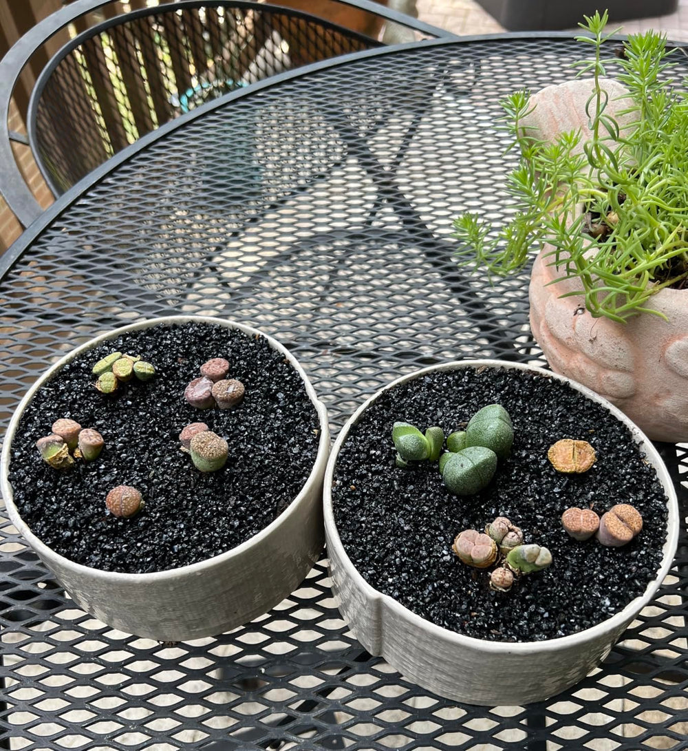 TOYPOPOR garden-walkway pebbles add durable color to outdoors