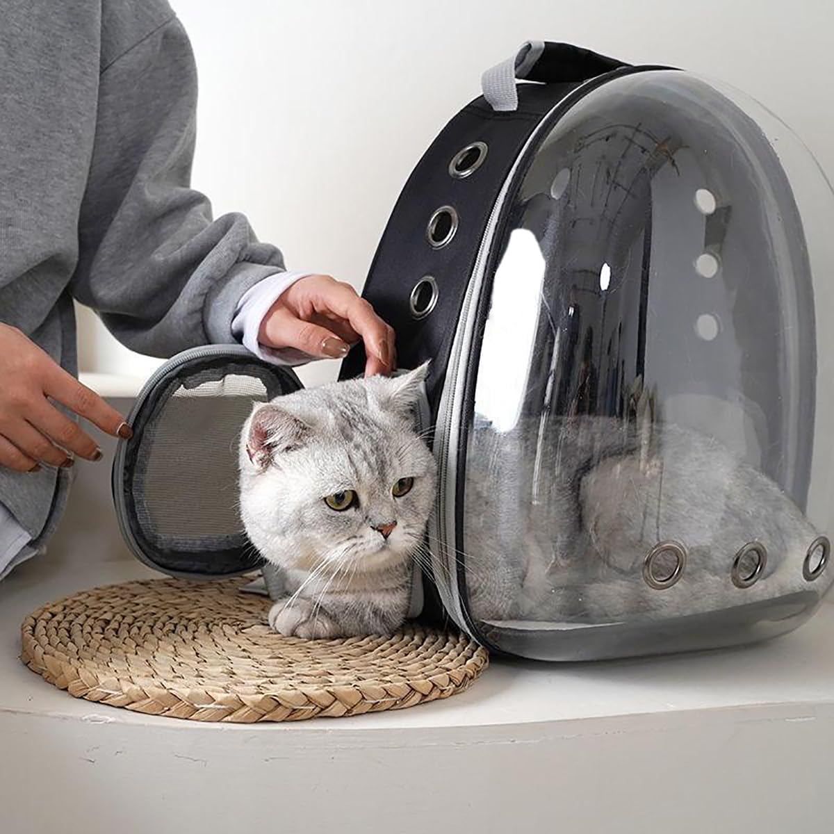 TOYSINTHEBOX cat backpack bottom-stability supports stable entry and exit.