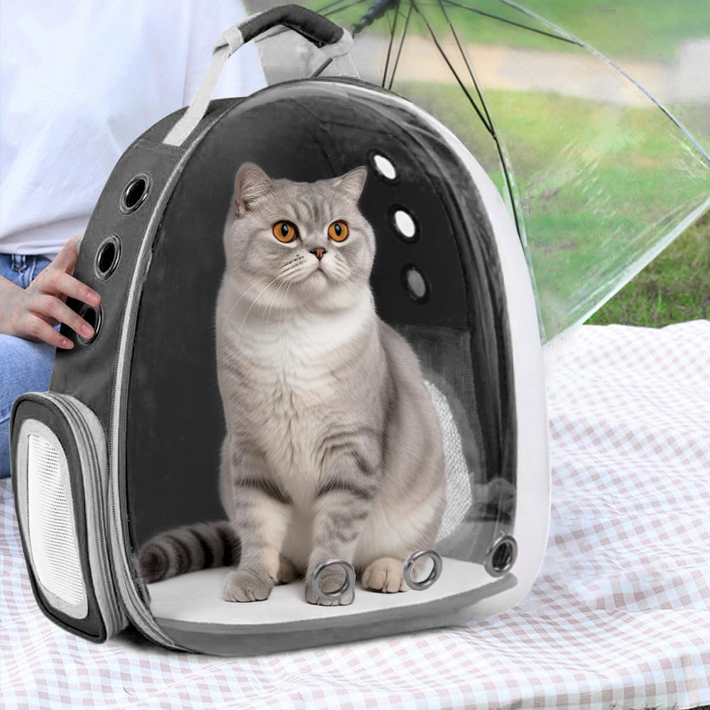 TOYSINTHEBOX cat backpack padded-shoulder-straps reduce strain during hikes.