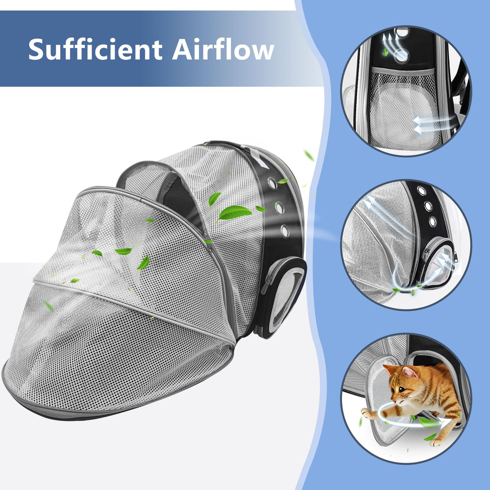 TOYSINTHEBOX cat backpack travel-utility supports vet visits and outdoor adventures.