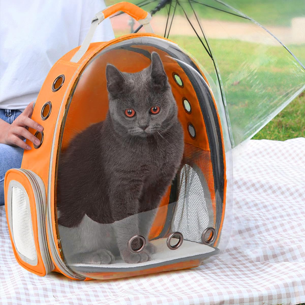 TOYSINTHEBOX side pockets store pet supplies during excursions