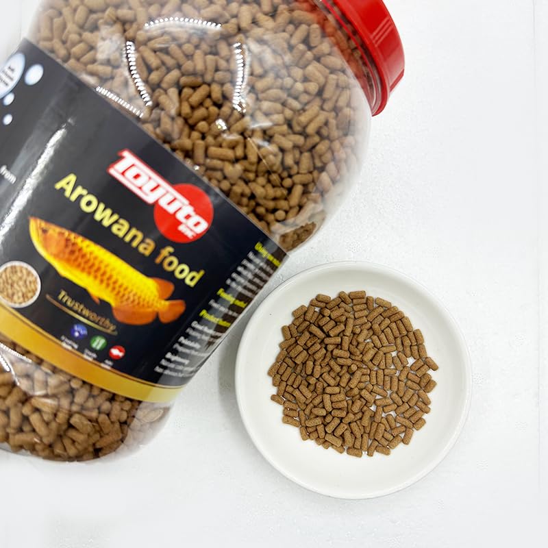 Toyuto floating sticks being fed in an aquarium for easy feeding