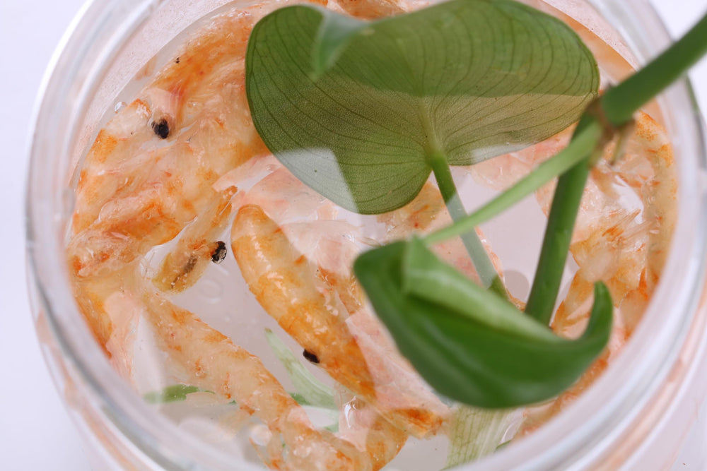 Toyuto premium freeze-dried krill shrimp mix storage bag preserves freshness.