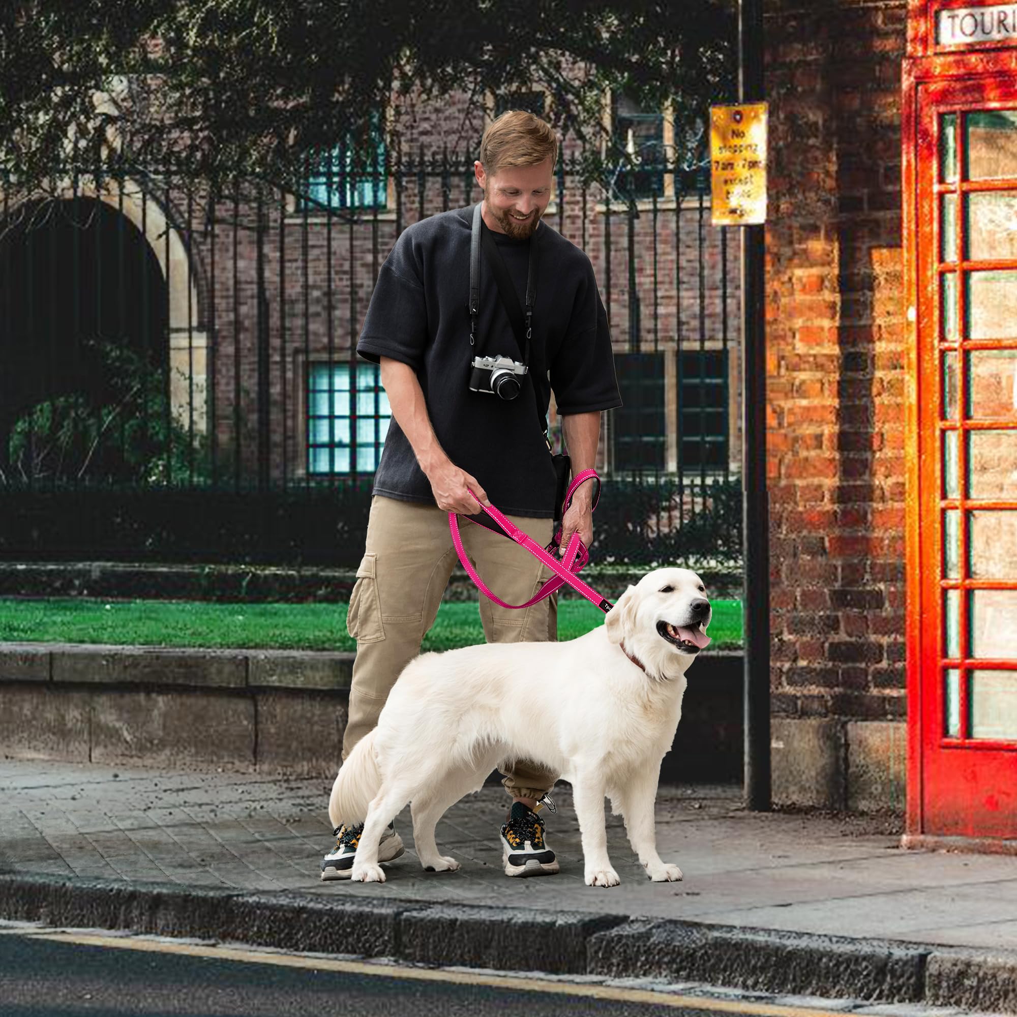 360-degree rotating clip on a Tpotato leash keeps the line untangled during training.