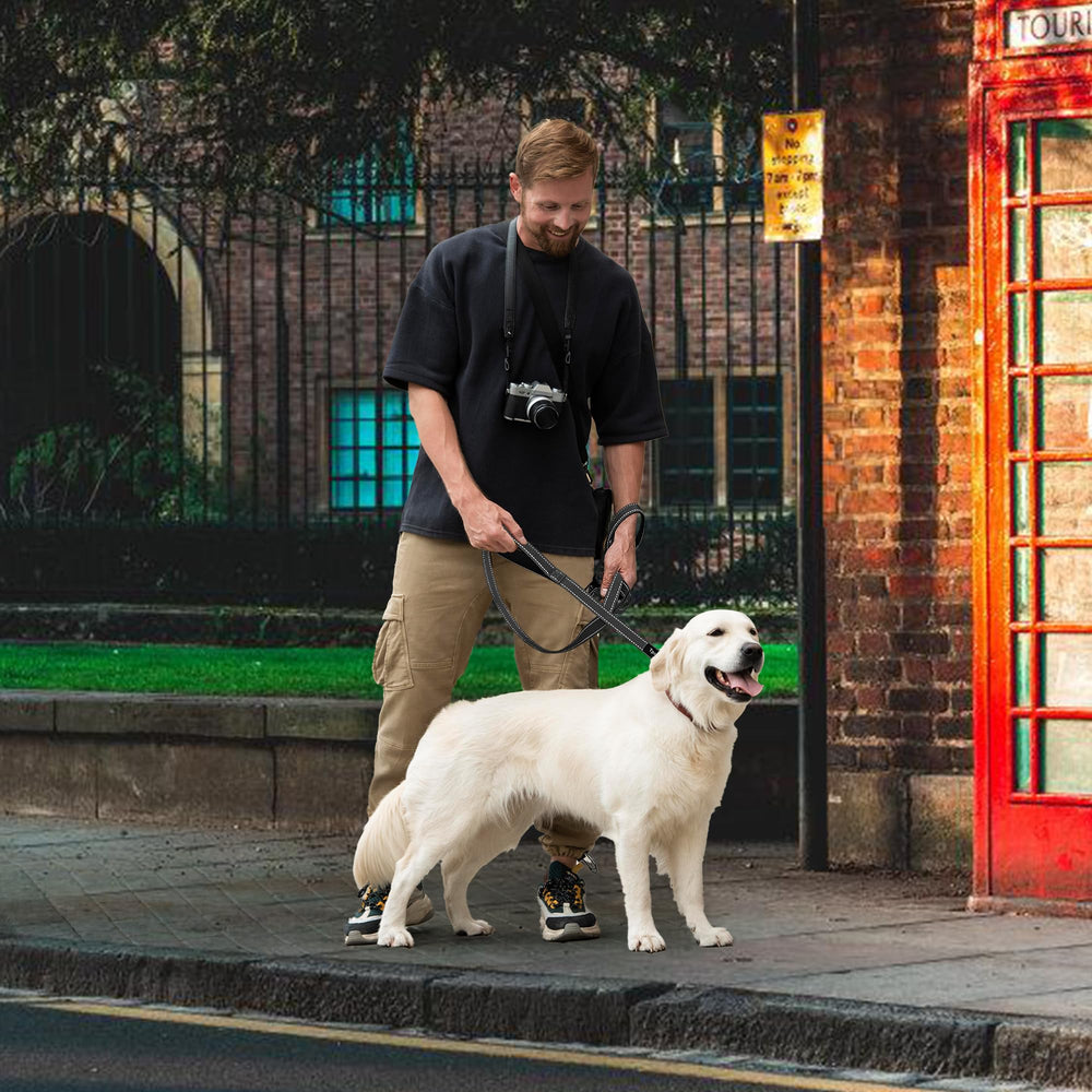 Tpotato 360-degree rotating clip leash prevents tangling during walks