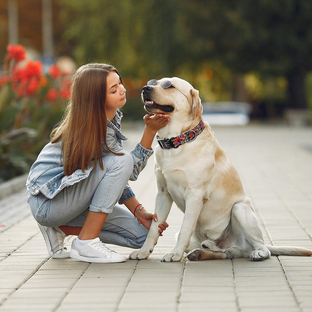 Tpotato adjustable dog collar fits growing puppies and dogs.