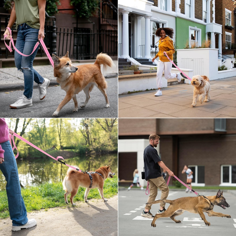 Tpotato car seat belt ready leash suitable for car rides and training