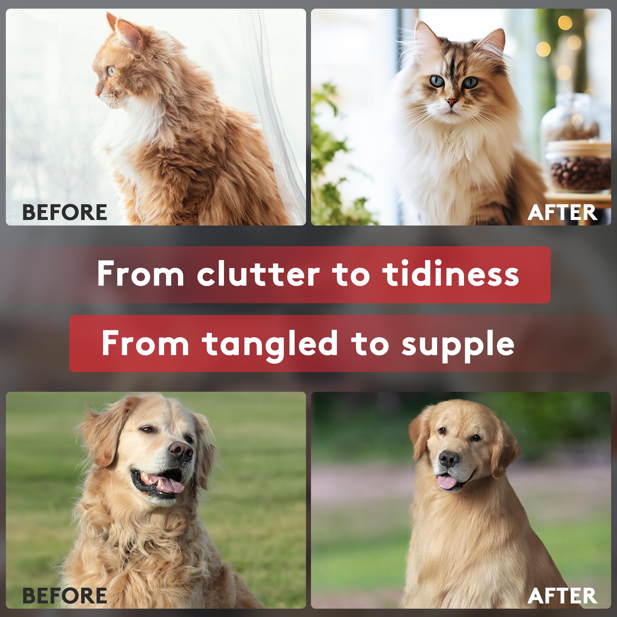 Tpotato deshedding dog brush pet grooming in a cozy home setup