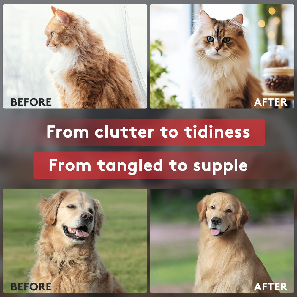 Tpotato deshedding dog brush pet grooming in a cozy home setup