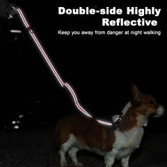 Heavy-duty nylon leash by Tpotato with double stitching for durability and long-lasting use.